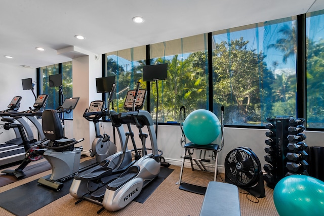 gym featuring expansive windows