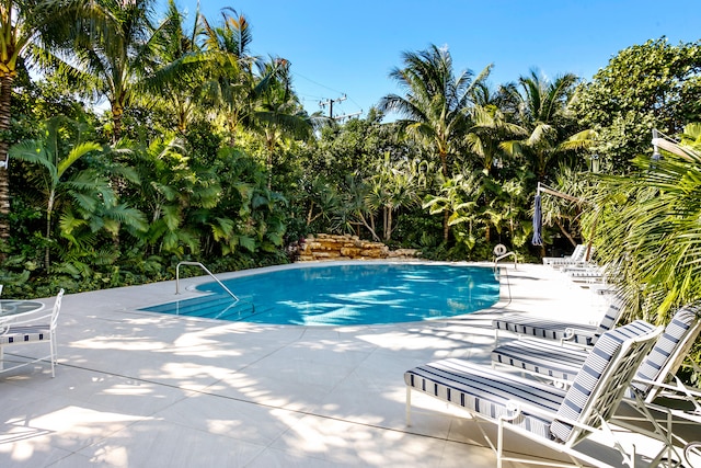 view of swimming pool with a patio area