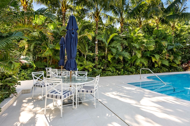 view of swimming pool with a patio