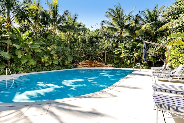 view of pool featuring a patio