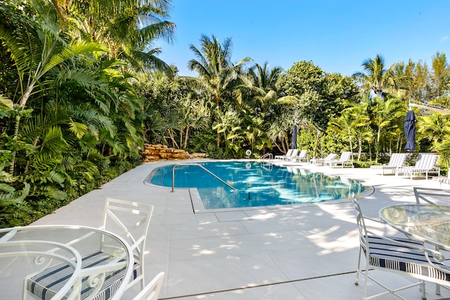 view of pool featuring a patio area