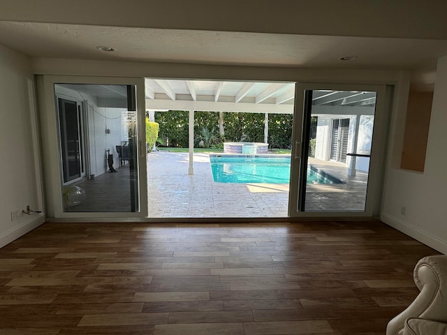 entryway featuring plenty of natural light and dark wood-type flooring