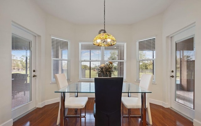 dining space featuring dark hardwood / wood-style flooring