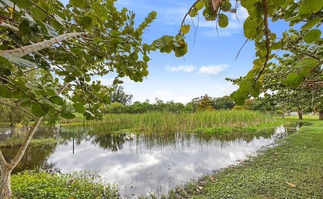 water view