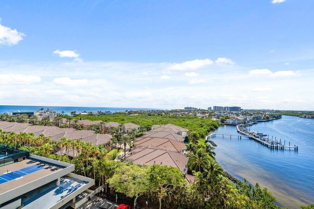 aerial view with a water view