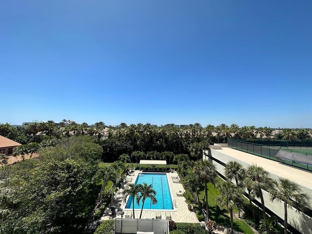 view of swimming pool