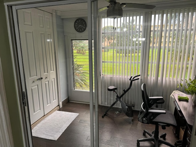 sunroom / solarium featuring ceiling fan