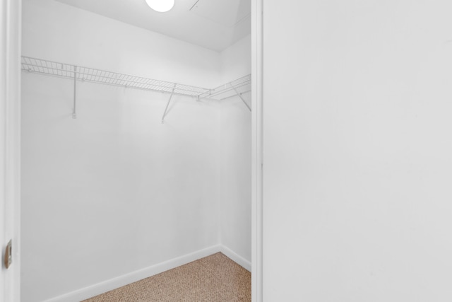 walk in closet featuring carpet