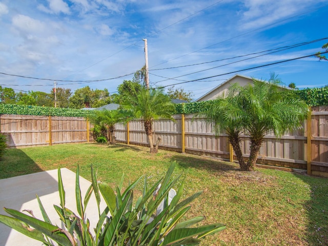 view of yard with a patio area