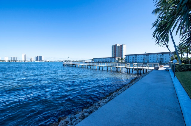 dock area with a water view