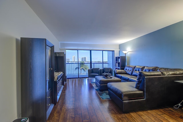 living room featuring dark hardwood / wood-style flooring