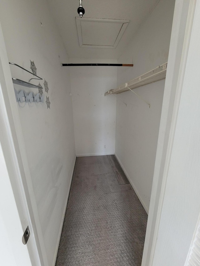 spacious closet featuring carpet floors