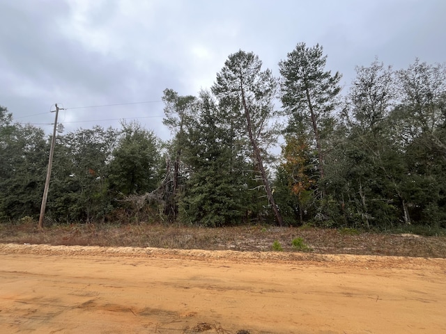 Tbd Neisman, Interlachen FL, 32148 land for sale