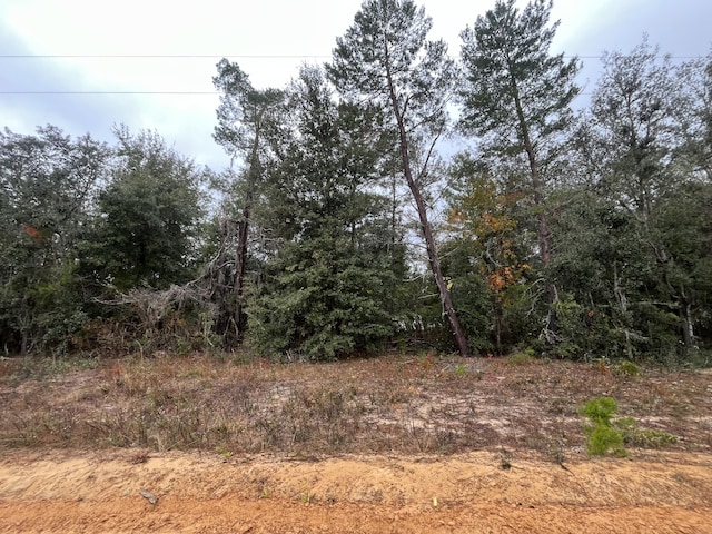 Listing photo 3 for Tbd Neisman, Interlachen FL 32148