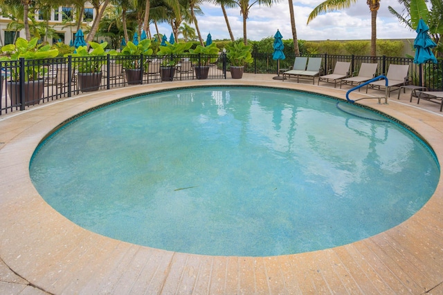 view of swimming pool with a patio