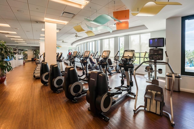 gym featuring hardwood / wood-style flooring, a drop ceiling, and expansive windows