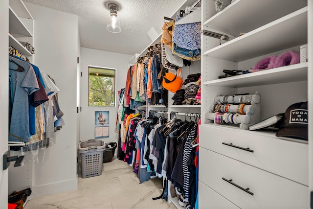 view of walk in closet