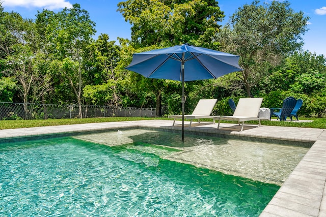 view of swimming pool