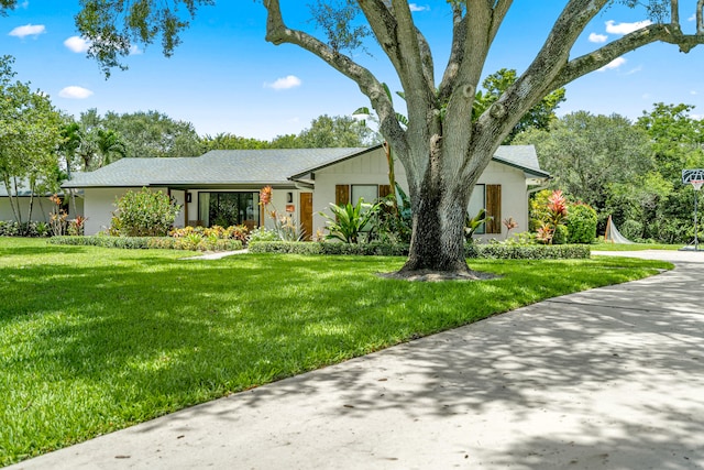 ranch-style home featuring a front lawn