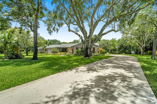 ranch-style home featuring a front lawn