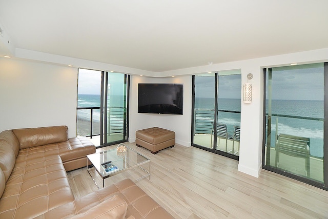 unfurnished living room with light wood-type flooring and expansive windows