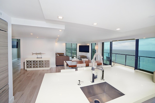 kitchen with sink, light hardwood / wood-style floors, and a wall of windows