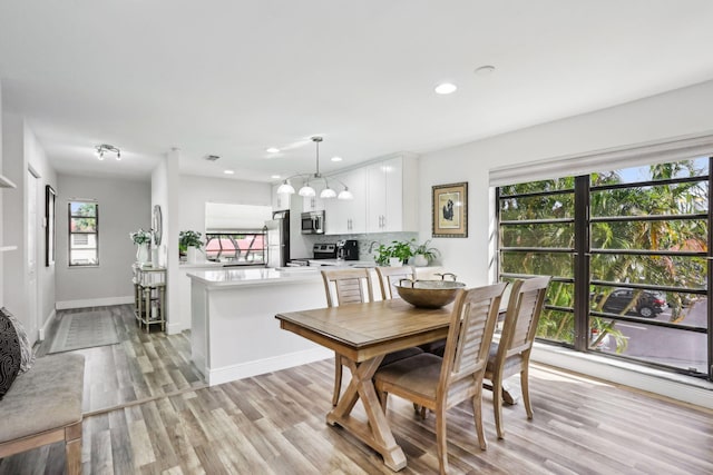 dining area with light hardwood / wood-style flooring and a healthy amount of sunlight