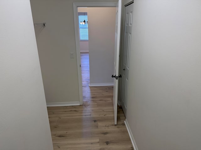 hall featuring light hardwood / wood-style floors