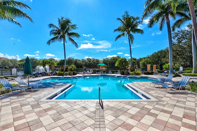 view of pool with a patio