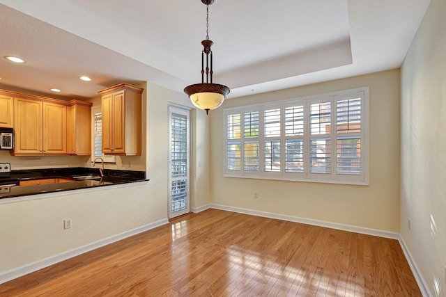 interior space featuring light wood-type flooring and sink