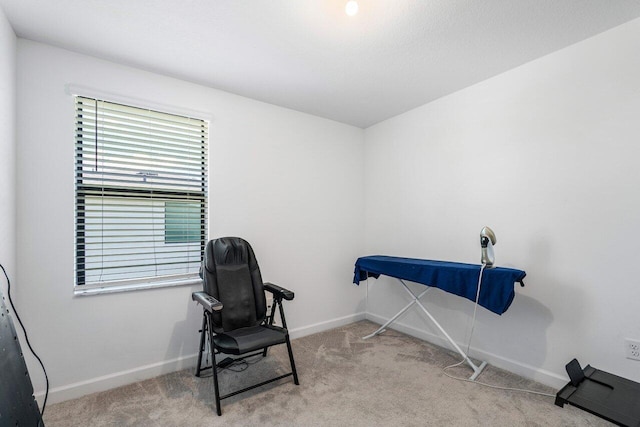 miscellaneous room featuring a wealth of natural light and light carpet