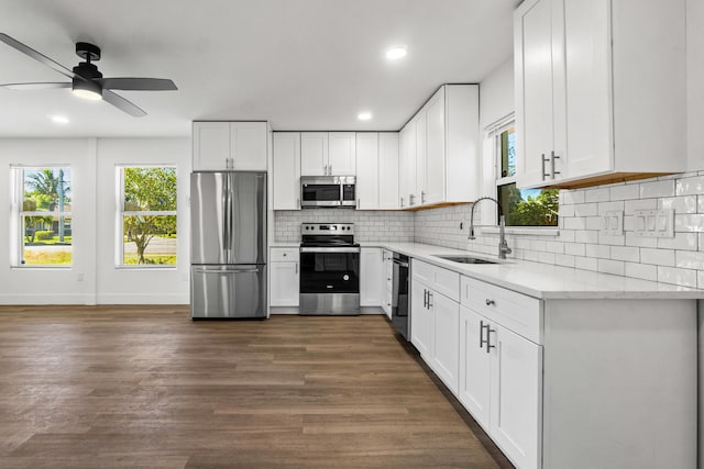 kitchen with dark hardwood / wood-style flooring, sink, white cabinets, and stainless steel appliances