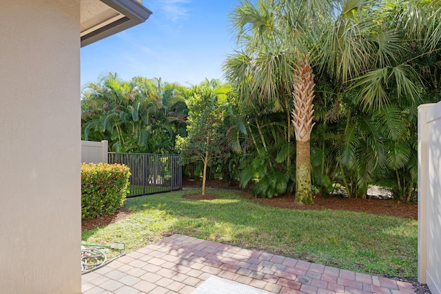 view of yard featuring a patio area