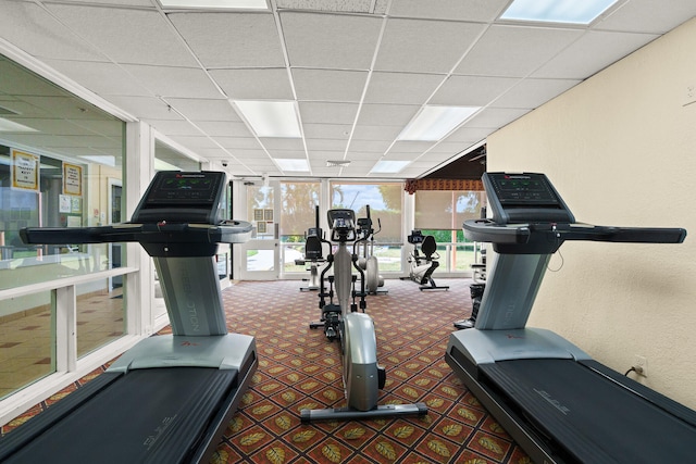 exercise room with a paneled ceiling, expansive windows, a healthy amount of sunlight, and dark colored carpet