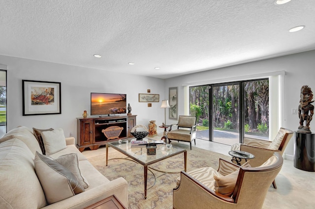 living room featuring a textured ceiling