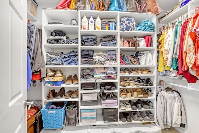 view of spacious closet