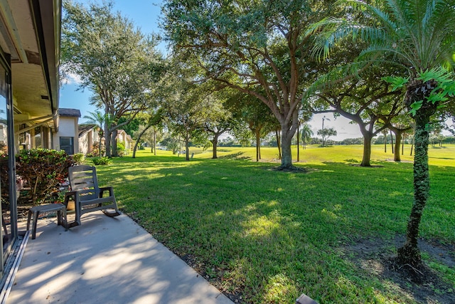 view of yard with a patio area