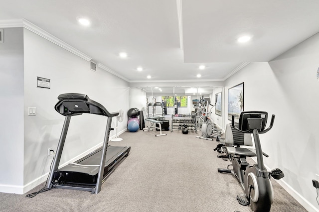 workout area featuring ornamental molding and carpet floors