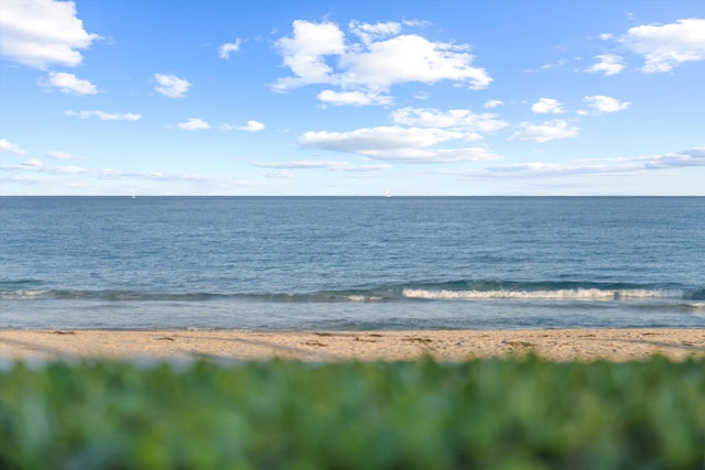 water view featuring a beach view