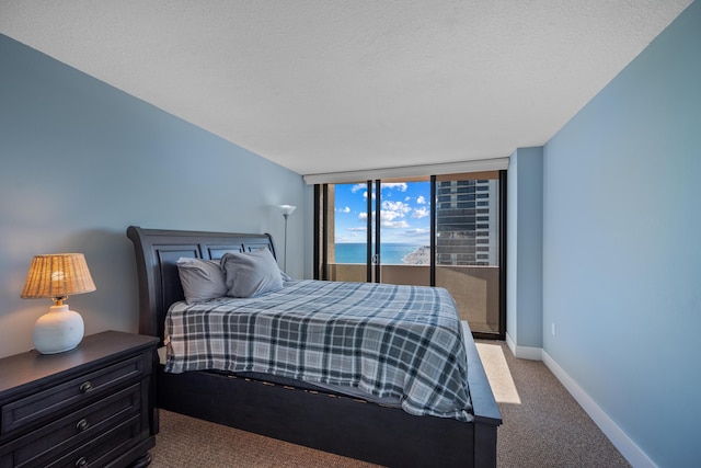 bedroom with a wall of windows, carpet floors, and a textured ceiling