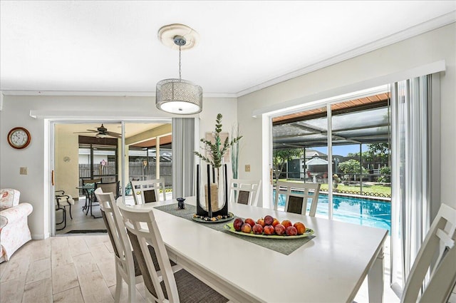 dining room with ceiling fan, light hardwood / wood-style floors, and ornamental molding