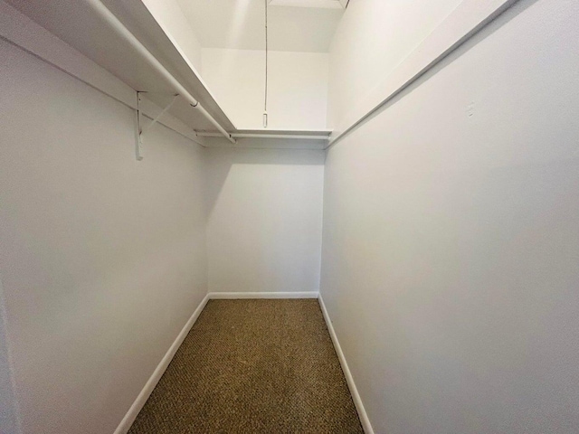 spacious closet with carpet