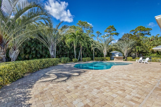 view of pool featuring a patio