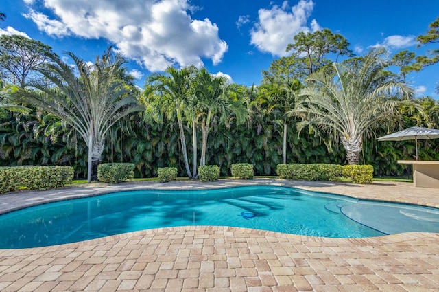 view of pool featuring a patio area