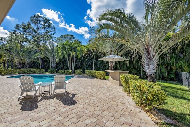 view of swimming pool with a patio area