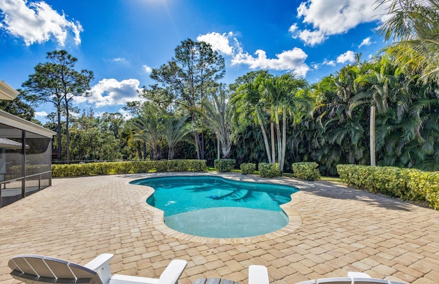 view of swimming pool featuring a patio area