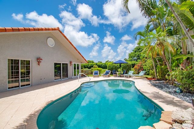 view of swimming pool featuring a patio area