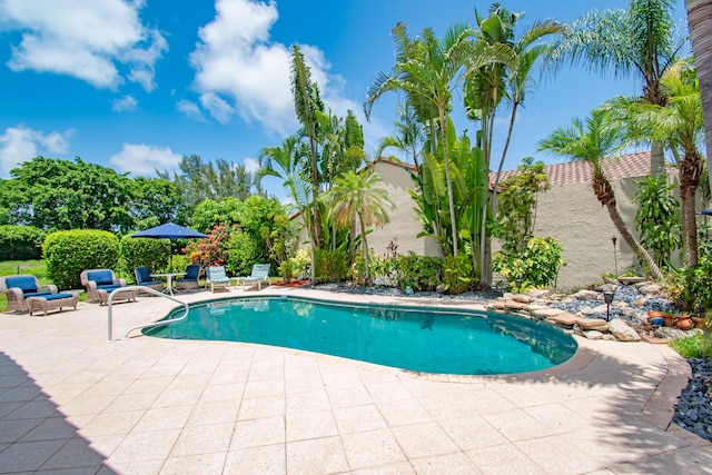 view of swimming pool featuring a patio