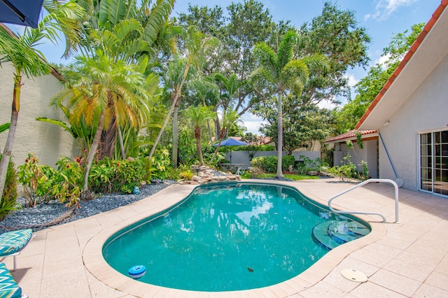 view of pool with a patio area