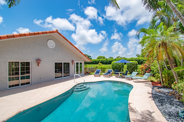 view of pool featuring a patio